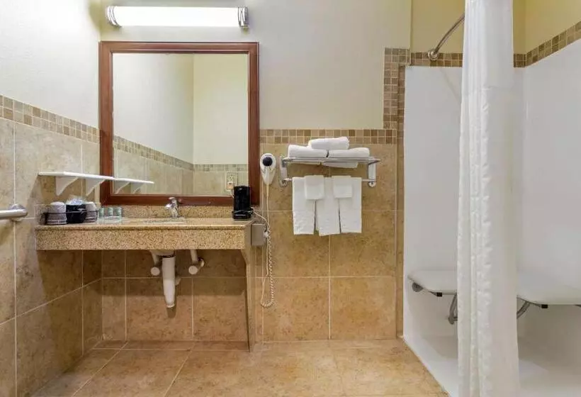 身障者適用スタンダードルーム, Best Western Texas City
