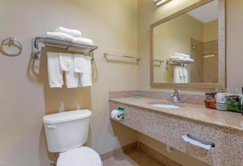キングサイズベッドのスイートルーム, Best Western Texas City