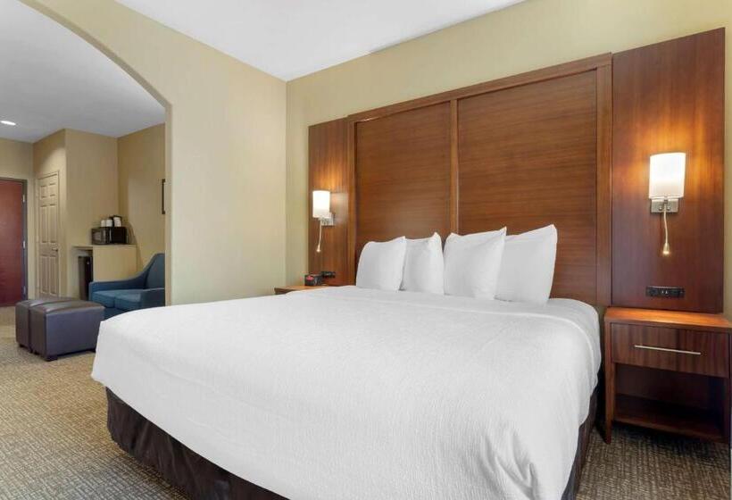 מיטת קינג בסוויטה, Best Western Texas City