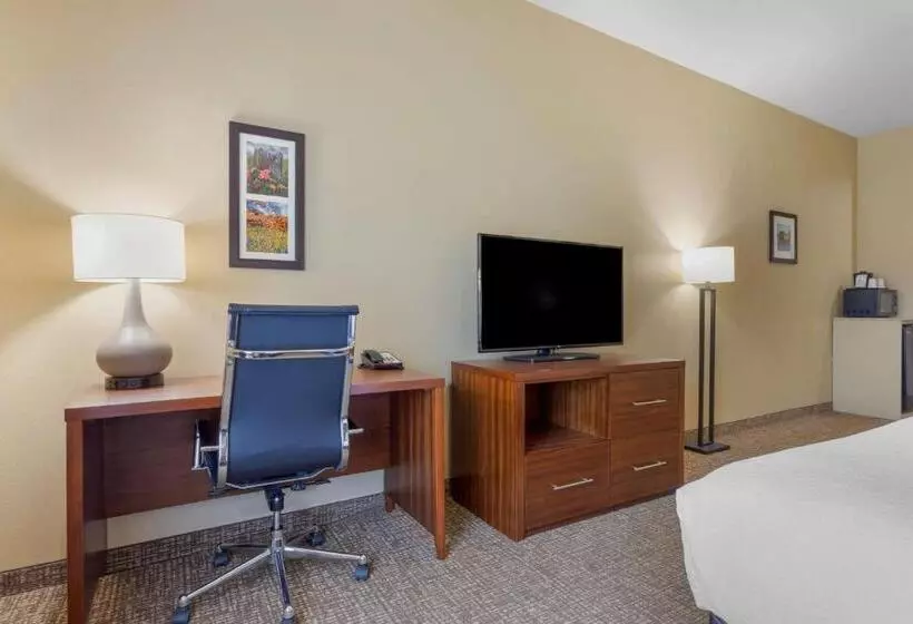 キングサイズベッドのスイートルーム, Best Western Texas City