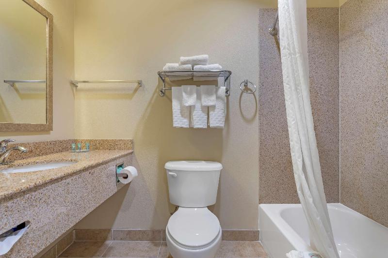 חדר סטנדרט עם מיטת קינג, Best Western Texas City