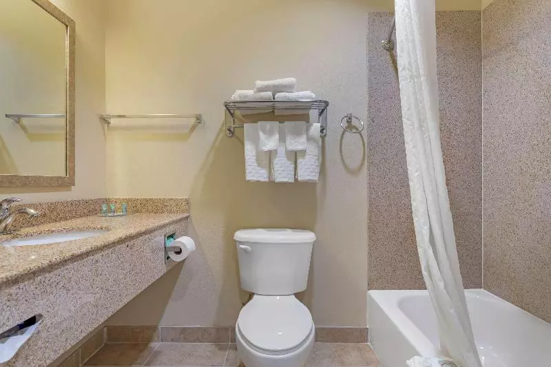 キングサイズベッドのスタンダードルーム, Best Western Texas City