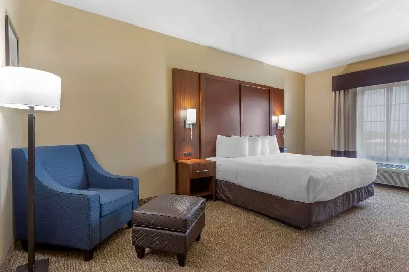 Standard-huone King-vuode, Best Western Texas City