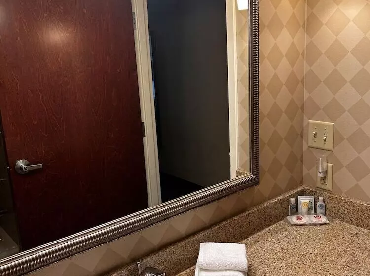キングサイズベッドのスイートルーム, Comfort Inn And Suites