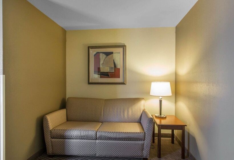 جناح سرير كينج, Comfort Inn And Suites