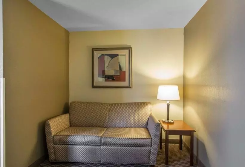 キングサイズベッドのスイートルーム, Comfort Inn And Suites