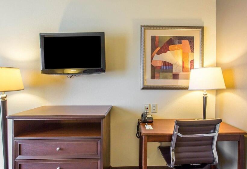 스위트 킹사이즈 침대, Comfort Inn And Suites