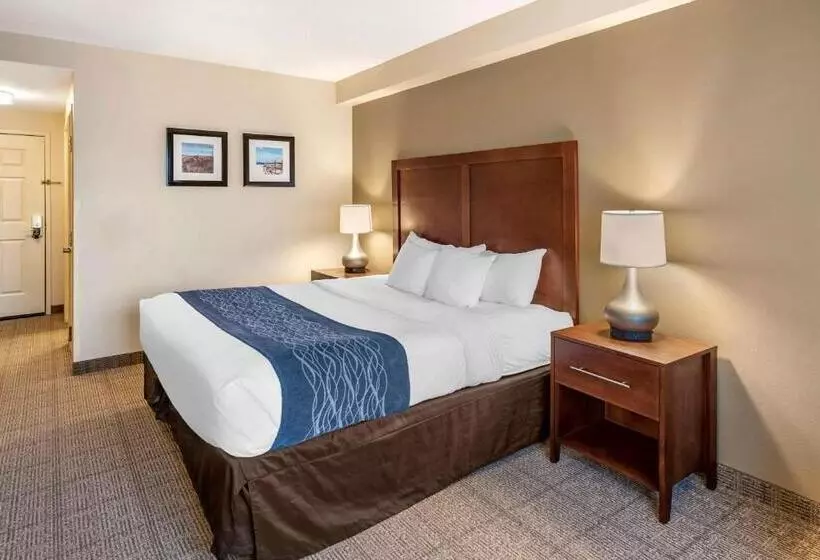 キングサイズベッドのスタンダードルーム, Comfort Inn & Suites Virginia Beach   Norfolk Airport