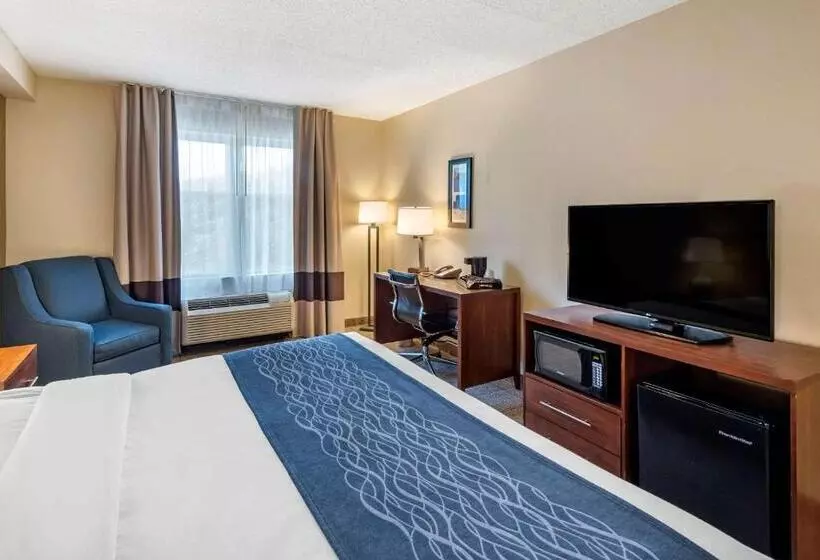 キングサイズベッドのスタンダードルーム, Comfort Inn & Suites Virginia Beach   Norfolk Airport