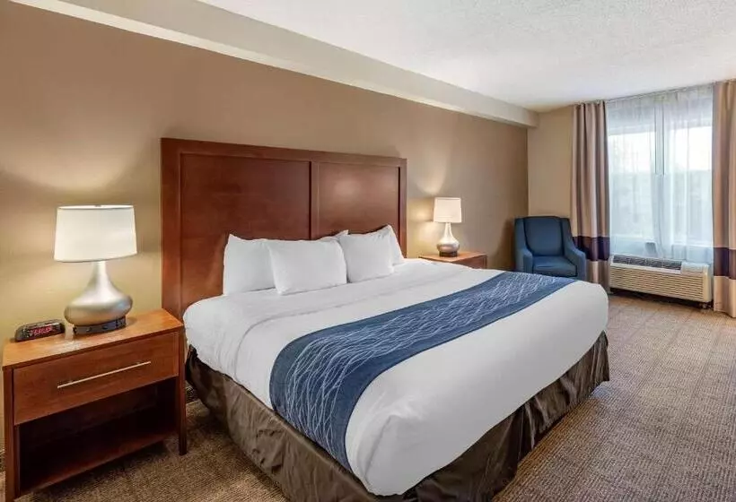 キングサイズベッドのスタンダードルーム, Comfort Inn & Suites Virginia Beach   Norfolk Airport