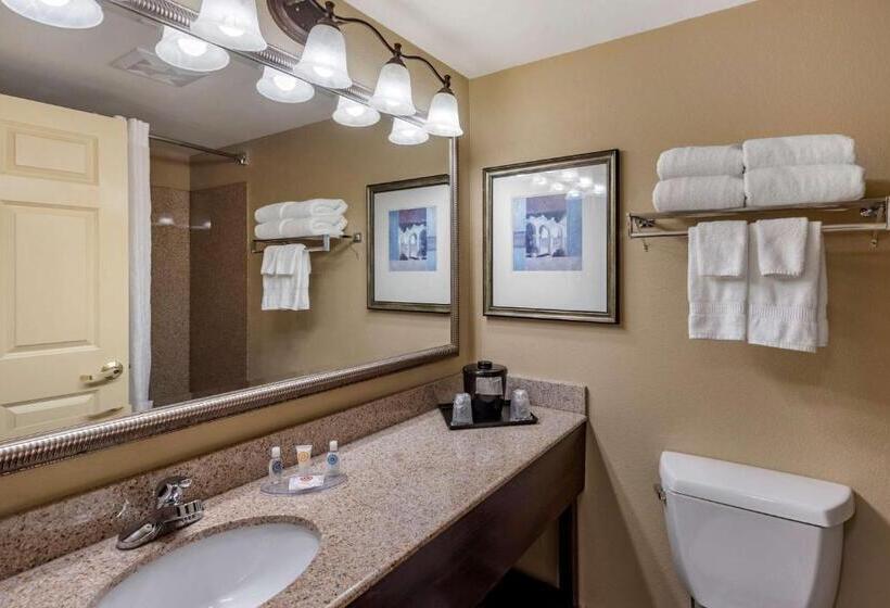 标准间, Comfort Inn & Suites Virginia Beach   Norfolk Airport