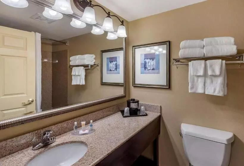 スタンダードルーム, Comfort Inn & Suites Virginia Beach   Norfolk Airport