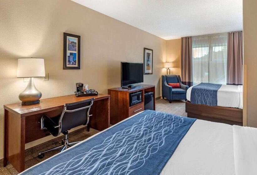 标准间, Comfort Inn & Suites Virginia Beach Norfolk Airport