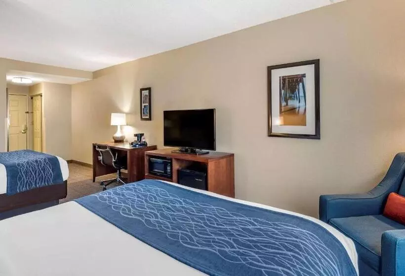 スタンダードルーム, Comfort Inn & Suites Virginia Beach   Norfolk Airport