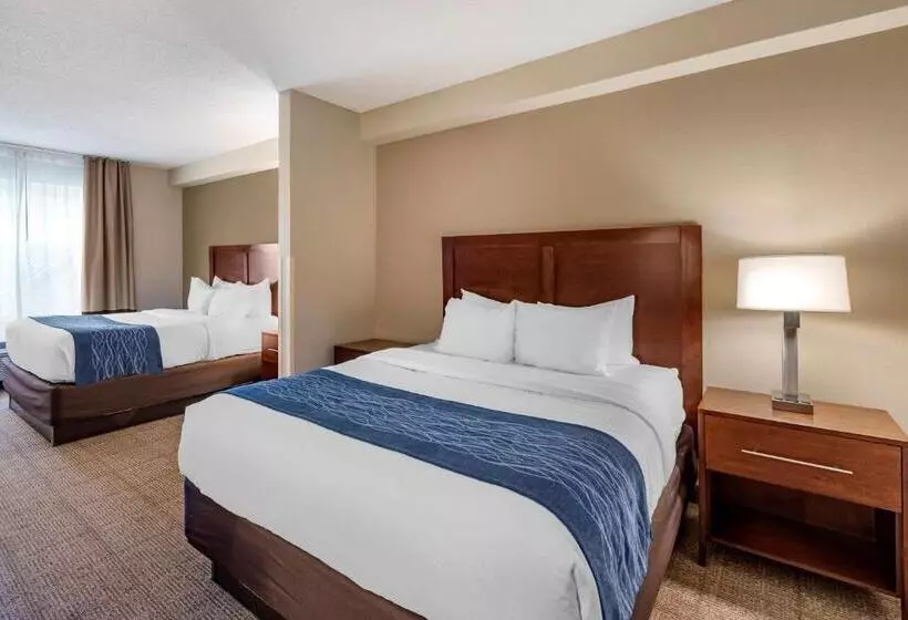 スタンダードルーム, Comfort Inn & Suites Virginia Beach   Norfolk Airport