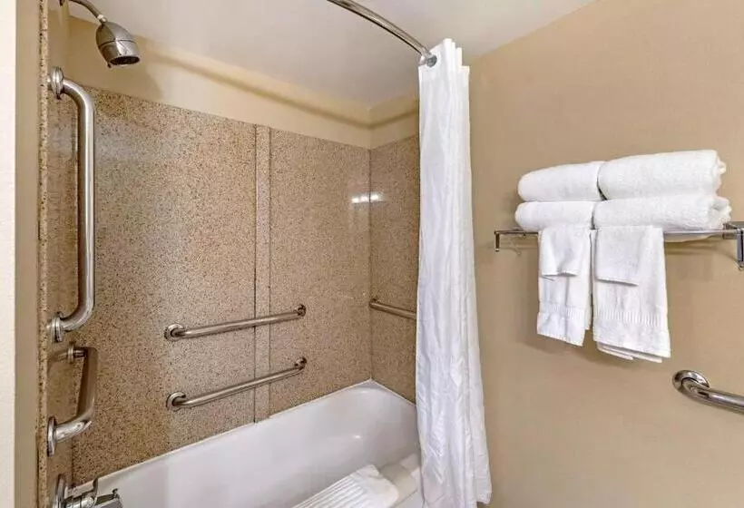 スタンダードルーム, Comfort Inn & Suites Virginia Beach   Norfolk Airport