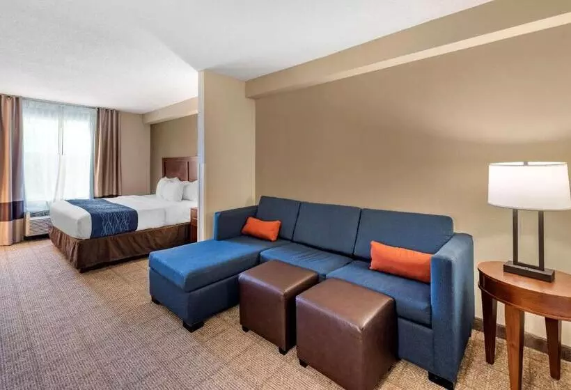 キングサイズベッドのスイートルーム, Comfort Inn & Suites Virginia Beach   Norfolk Airport