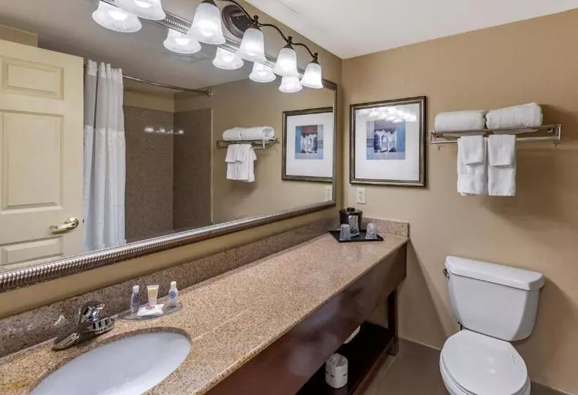 スイート, Comfort Inn & Suites Virginia Beach   Norfolk Airport