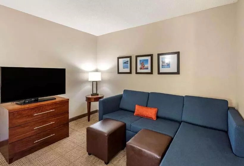 スイート, Comfort Inn & Suites Virginia Beach   Norfolk Airport