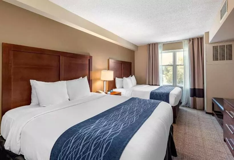 スイート, Comfort Inn & Suites Virginia Beach   Norfolk Airport