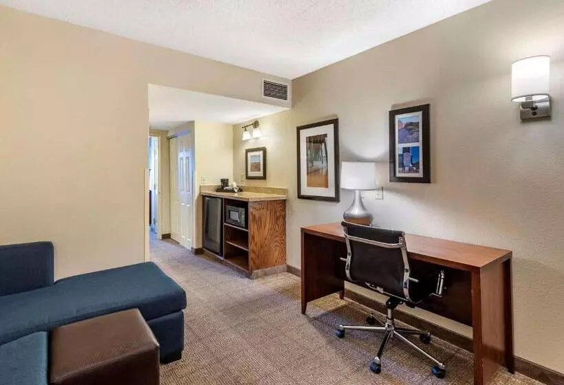 スイート, Comfort Inn & Suites Virginia Beach   Norfolk Airport