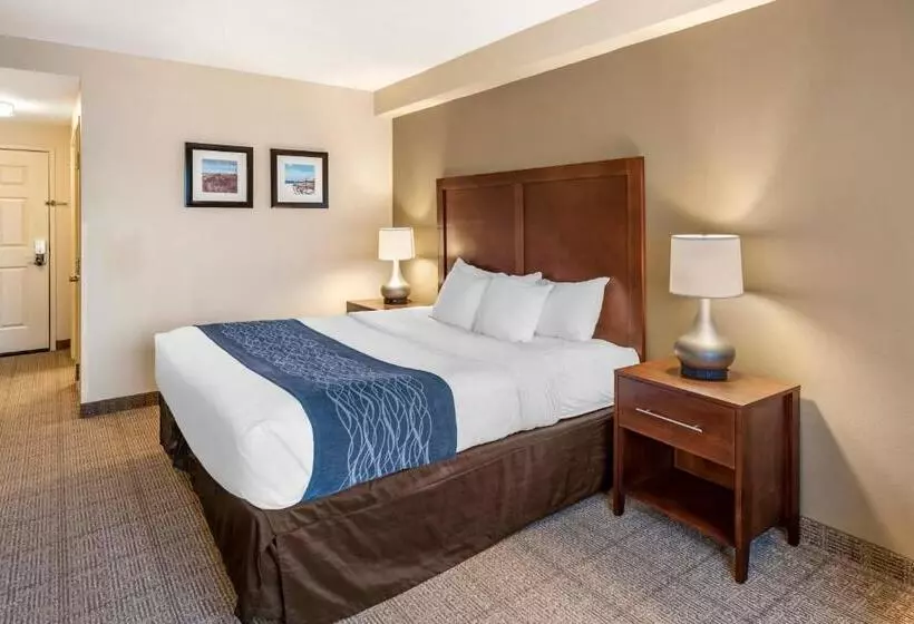 身障者適用キングサイズベッドルーム, Comfort Inn & Suites Virginia Beach   Norfolk Airport