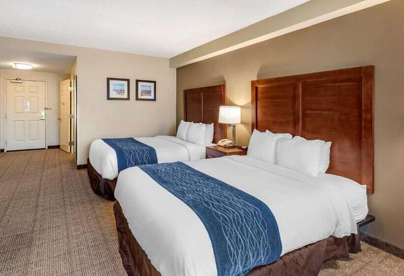 适合残疾人使用的标准间, Comfort Inn & Suites Virginia Beach Norfolk Airport