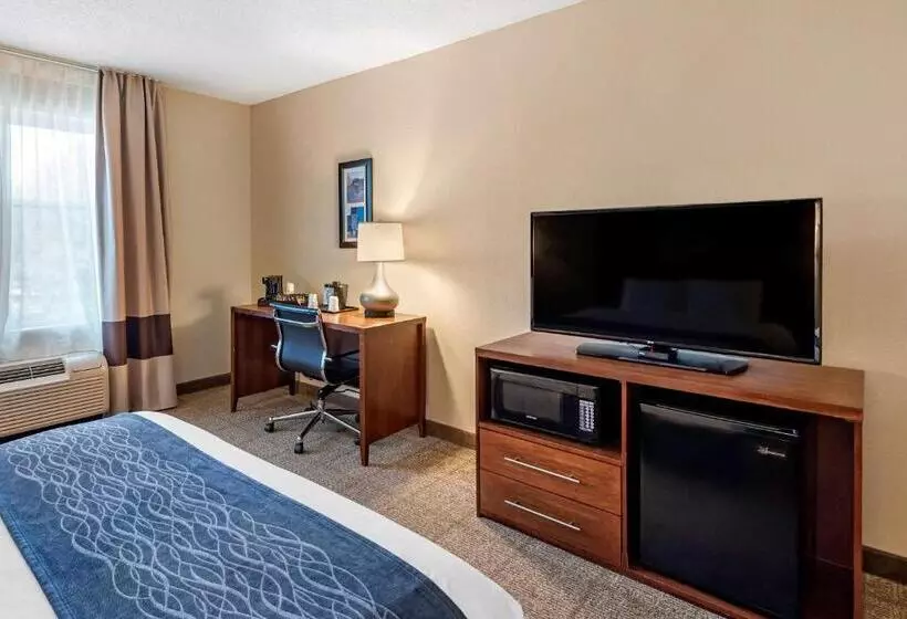 身障者適用スタンダードルーム, Comfort Inn & Suites Virginia Beach   Norfolk Airport