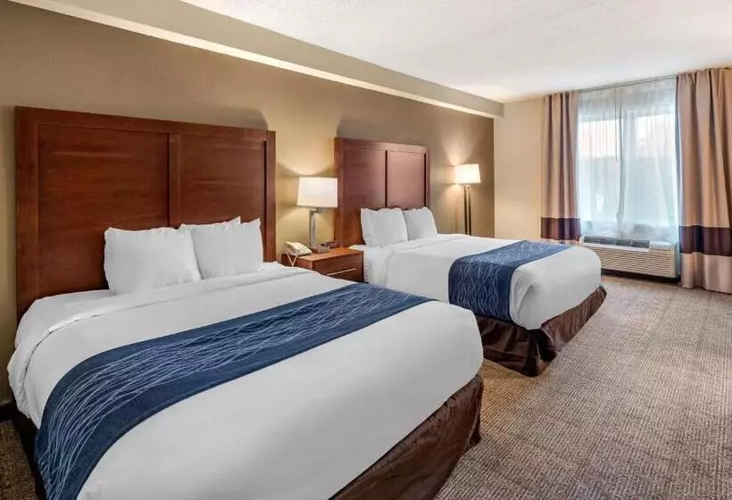 身障者適用スタンダードルーム, Comfort Inn & Suites Virginia Beach   Norfolk Airport
