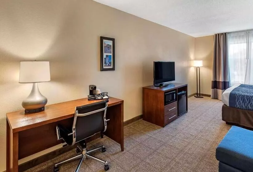 身障者適用スイートルーム, Comfort Inn & Suites Virginia Beach   Norfolk Airport