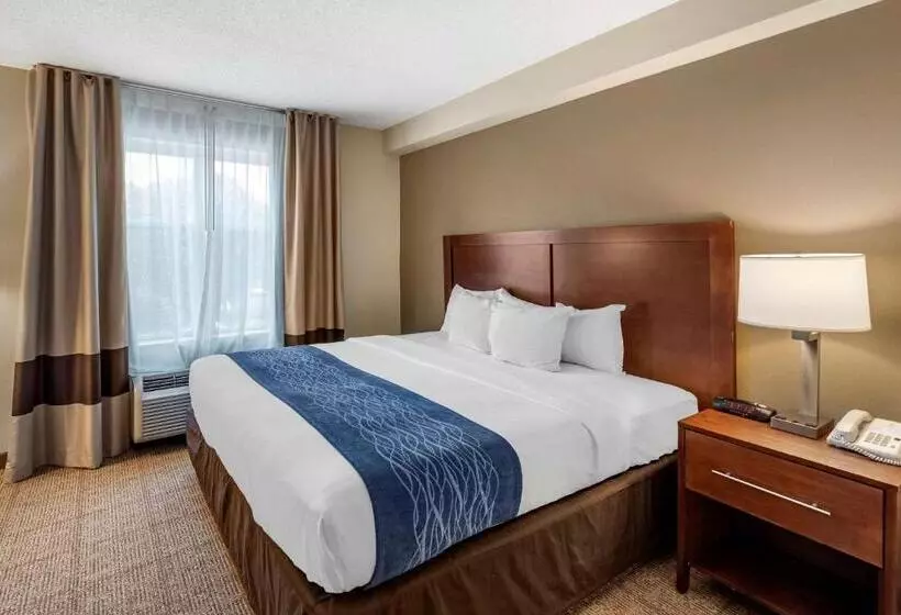 身障者適用スイートルーム, Comfort Inn & Suites Virginia Beach   Norfolk Airport