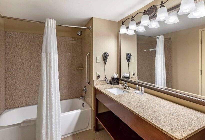 套房, Comfort Inn & Suites Virginia Beach Norfolk Airport