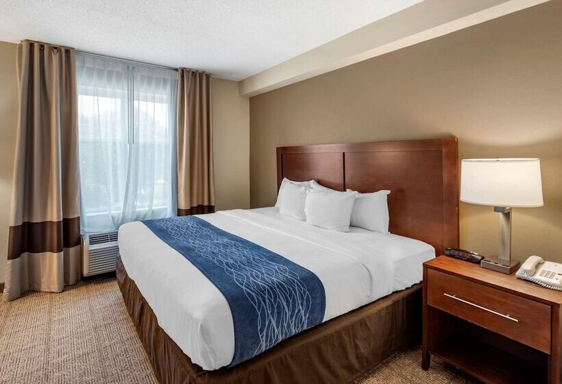 适合残疾人士使用的套间, Comfort Inn & Suites Virginia Beach   Norfolk Airport