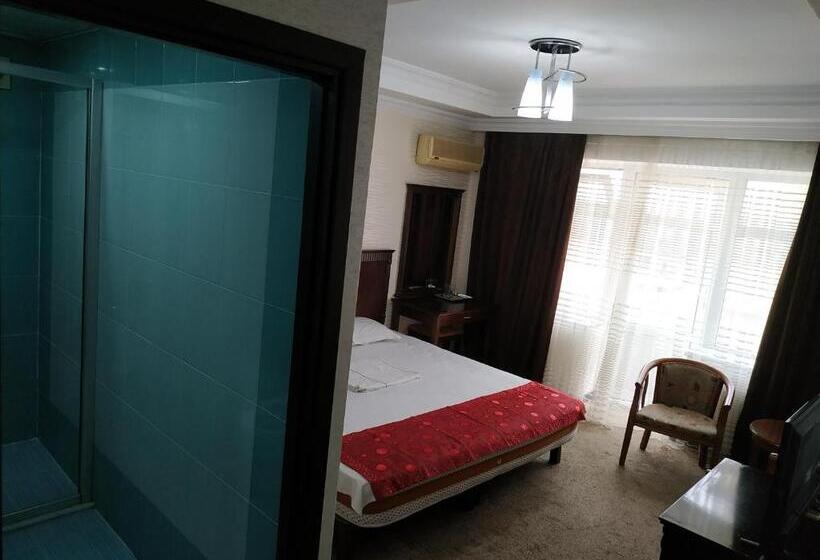 اتاق استاندارد, Consul