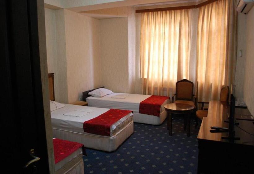 اتاق استاندارد سه نفره, Consul