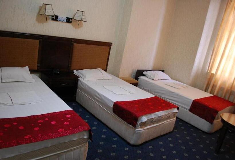 اتاق استاندارد سه نفره, Consul