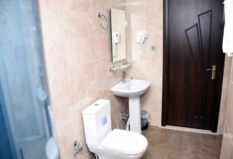 اتاق استاندارد یک نفره, Consul