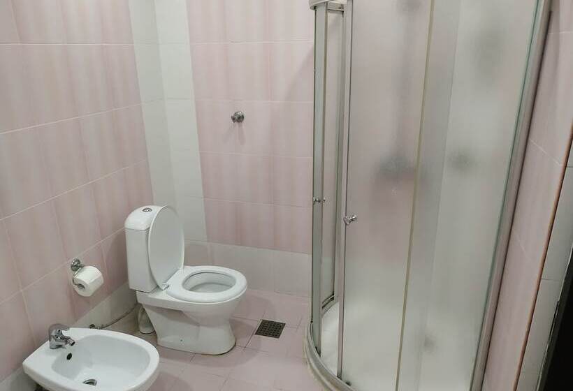 اتاق استاندارد یک نفره, Consul