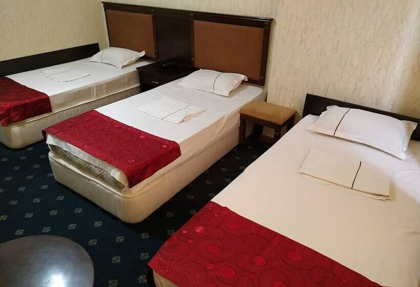 اتاق استاندارد سه نفره, Consul