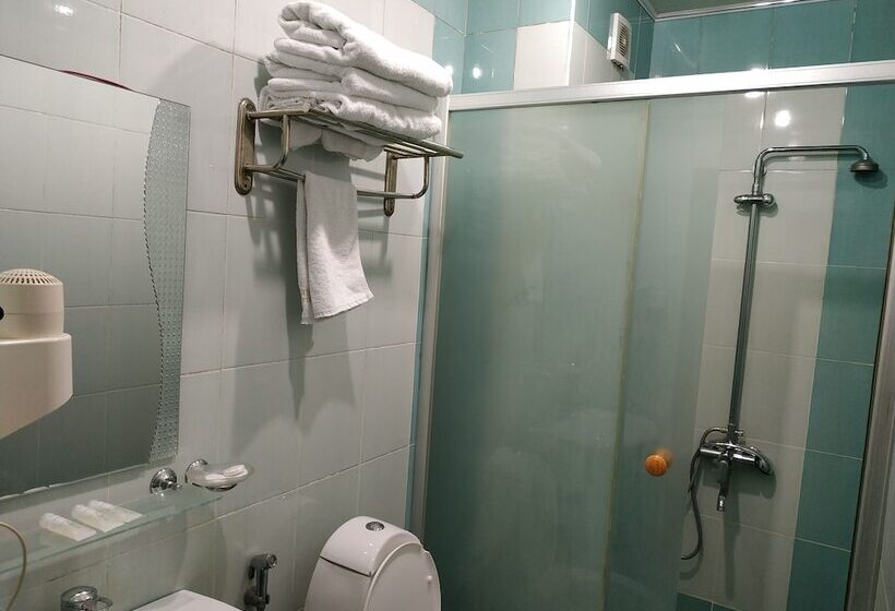 اتاق استاندارد سه نفره, Consul