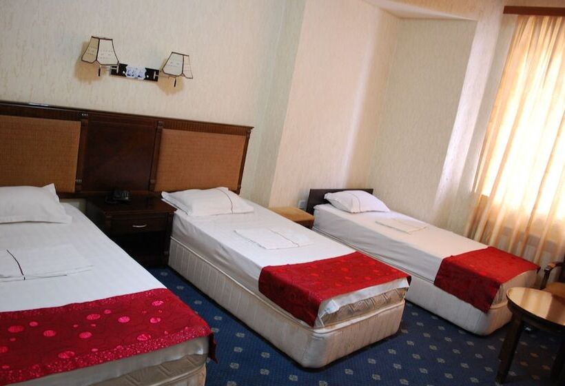 اتاق استاندارد سه نفره, Consul