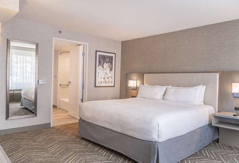 带大床的标准间, Doubletree By Hilton Columbus Dublin