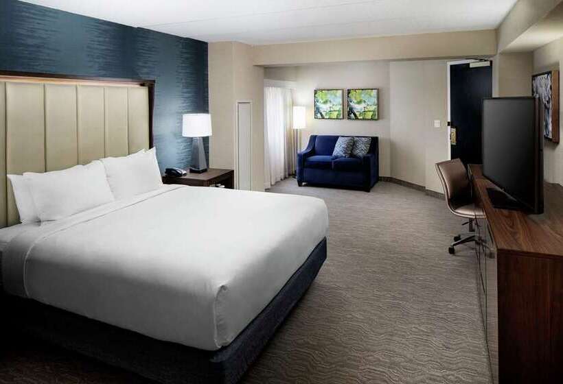 标准间, Doubletree By Hilton Columbus Dublin