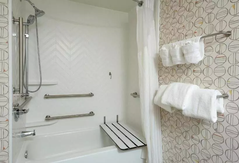 身障者適用スタンダードルーム, Holiday Inn Raleigh Durham Airport, An Ihg