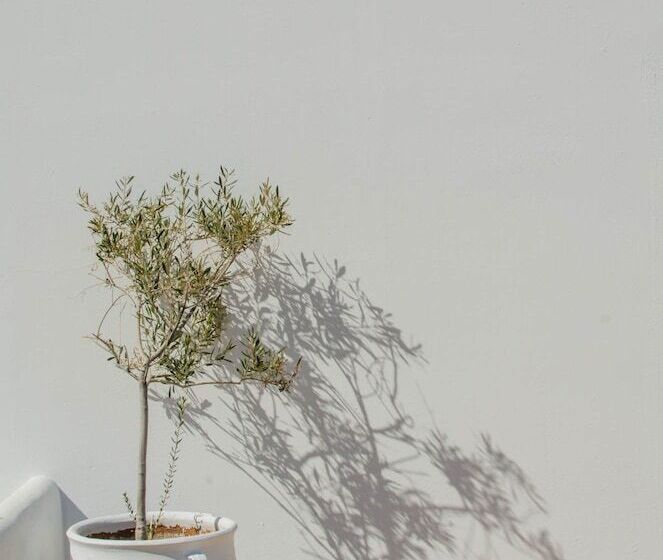 اتاق کلاسیک, Levantes Ios Boutique