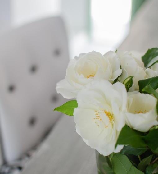 اتاق لوکس با چشم‌انداز دریا, Levantes Ios Boutique