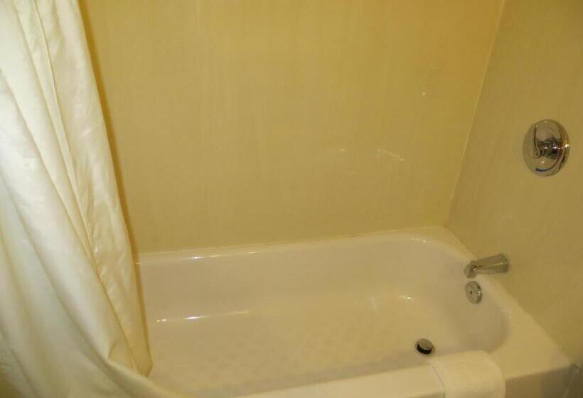 2ダブルベッドのスタンダードルーム, New Lodge