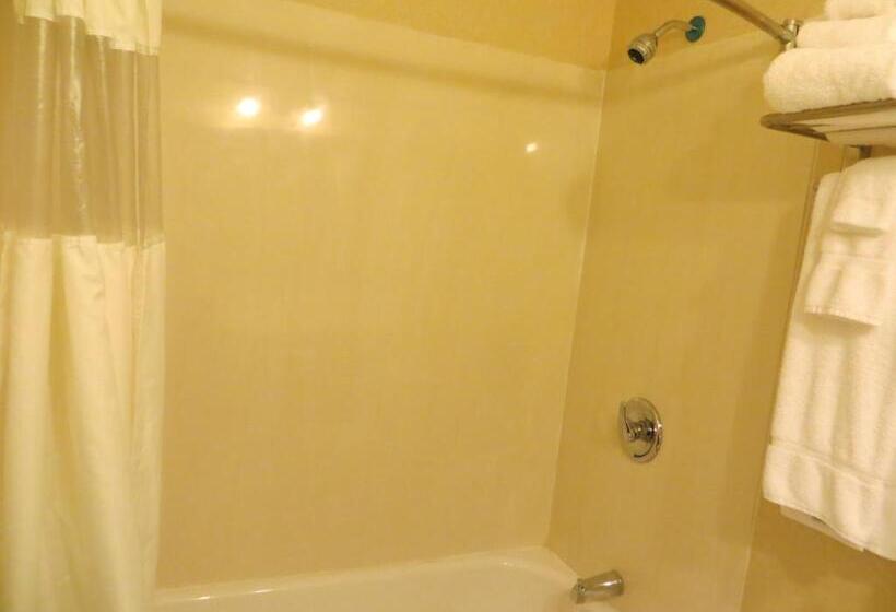 2ダブルベッドのスタンダードルーム, New Lodge