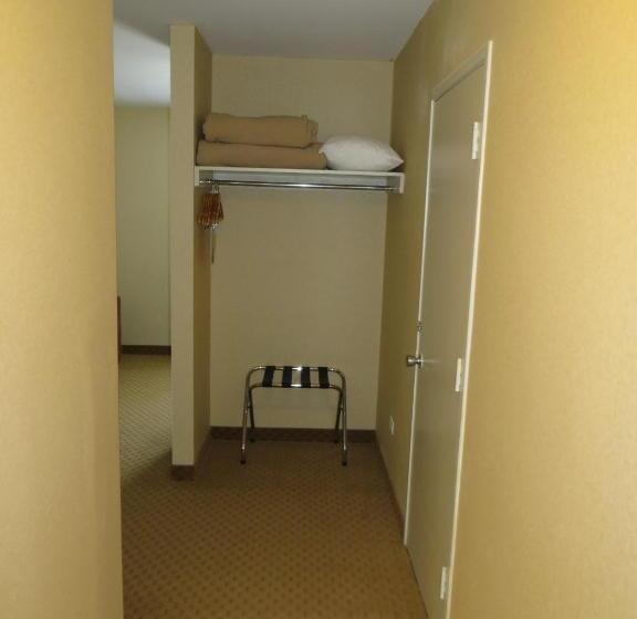 エクゼクティブルーム, New Lodge