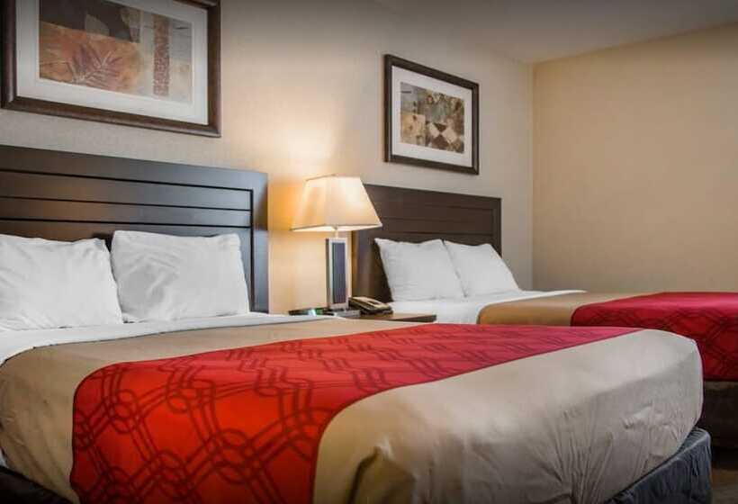 2ダブルベッドのスタンダードルーム, New Lodge